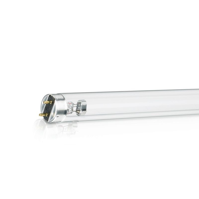 Soclu g13 cheap